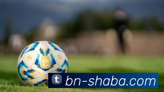 沙巴体育平台平台生态图